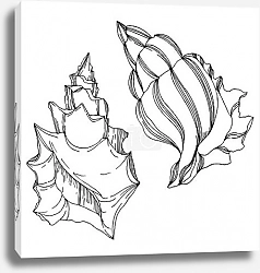 Постер Vector Summer beach seashell tropical elements. Black and white