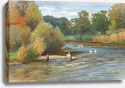 Постер Дарно Хьюго Enten am Weiher