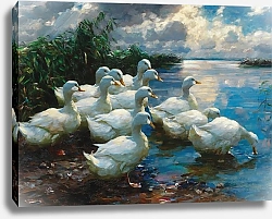 Постер Кестер Александр Энтен ам Зее [Утки у озера]