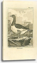 Постер The Goose 1