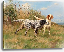 Постер Блинк Томас Two English setters