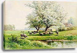 Постер Вебер Карл Пасторальный пейзаж