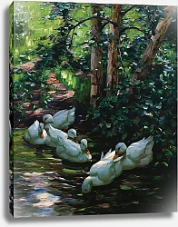 Постер Кестер Александр Шесть уток в воде