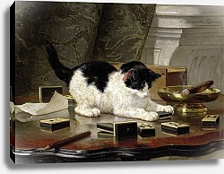 Постер Роннер-Нип Генриетта The cat at play