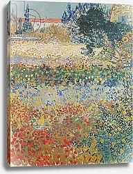 Постер Ван Гог Винсент (Vincent Van Gogh) Garden in Bloom, Arles, July 1888