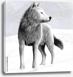 Постер Белый дикий волк с голубыми глазами на зимнем фоне