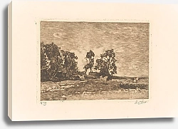 Постер Цварт Виллем Weide met koeien