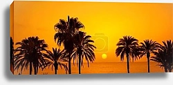 Постер Силуэты пальм на закате, Тенерифе, Испания