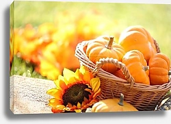 Постер Тыквы в корзине