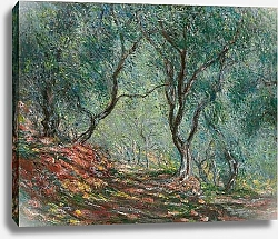 Постер Моне Клод (Claude Monet) Olive Trees in the Moreno Garden, 1884