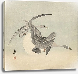 Постер Косон Охара Two geese in flight
