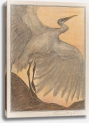 Постер Хойтема Тео Зилверрайгер