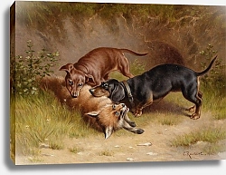 Постер Райхерт Карл Охотничий трофей