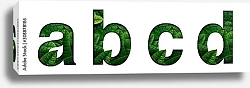 Постер Буквы a,b,c,d с зелёными листьями