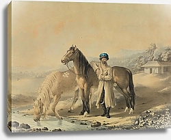 Постер Пфорр Йоханн Türke mit zwei Pferden am Bach