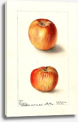 Постер Пассмор Дебора Малус домашний: Виноградный сок