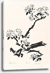 Постер Клоостер Йоханнес Аппельблоузем