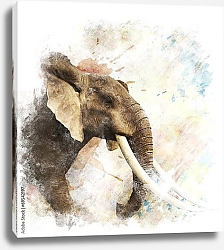 Постер Акварельный портрет слона