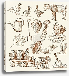 Постер Пищевая коллекция №20