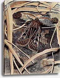 Постер Робер Поль-Андре верша