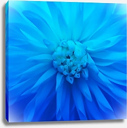 Постер Сердцевина синего цветка