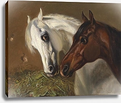 Постер Волкерс Эмиль Две лошадиные головы