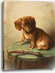 Постер Райхерт Карл Щенок таксы