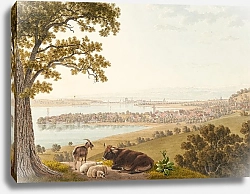 Постер Бидерманн Йоханн Arenenberg, Ausblick gegen Osten