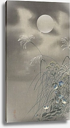 Постер Косон Охара Grasses and flowers at full moon