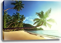 Постер Остров Маэ, Сейшельские острова