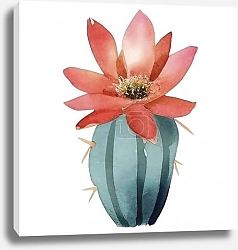 Постер Акварельный букет кактусов и суккулентов