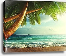 Постер Закат на пляже, Сейшельские острова