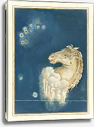 Постер Байер Иоганн Equuleus