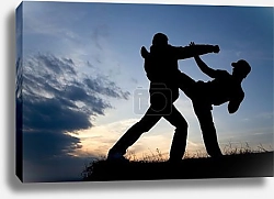 Постер Карате 2