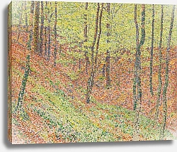 Постер Рольфс Кристиан Wald