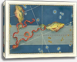 Постер Байер Иоганн Pisces