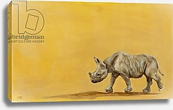 Постер Сандерс Франческа (совр) rhino, 2013, oil on canvas