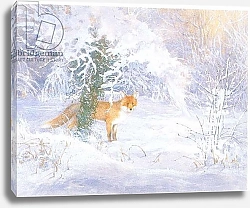 Постер Бенингфилд Гордон (1936-98) Winter Fox, from source unknown