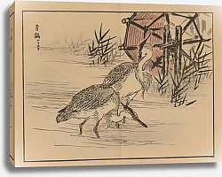 Постер Байрей Коно Байрей гафу, пл. 35