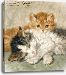 Постер Роннер-Нип Генриетта Sleepy Kittens