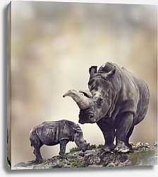 Постер Носороги 2