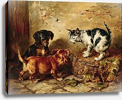 Постер Райхерт Карл Хозяин дома