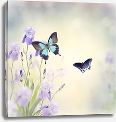 Постер Голубые бабочки над фиолетовыми ирисами 