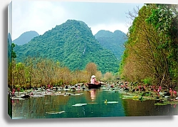 Постер Лодочник на реке с кувшинками, Ханой, Вьетнам