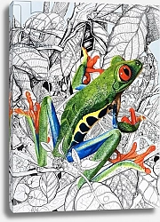 Постер Кэтрайт Уильям (животные) The Flying Frog, from 'Nature's Kingdom'