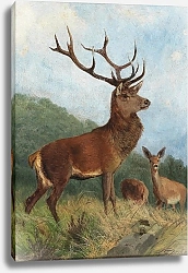 Постер Дейкер Карл Лидер рейтинга