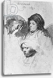 Постер Рембрандт (Rembrandt) Three female heads with one sleeping, 1637