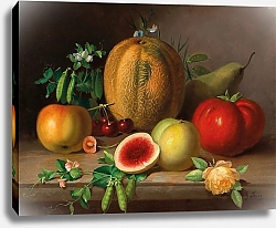 Постер Сейтц Йоханн A Kitchen Still Life with Melon, Tomato, Apples, Pears and Flowering Pea Pods,