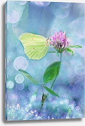 Постер Бабочка на цветке клевера