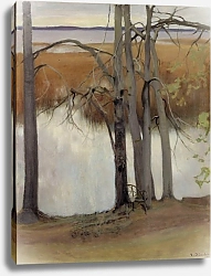 Постер Ярнефельт Ээро Берег озера с зарослями тростника